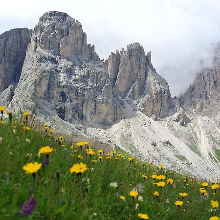 Sporthotel Enrosadira Campitello di Fassa Exterior foto