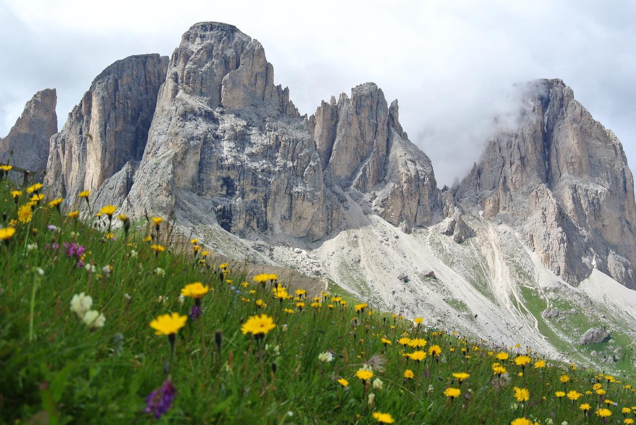 Sporthotel Enrosadira Campitello di Fassa Exterior foto
